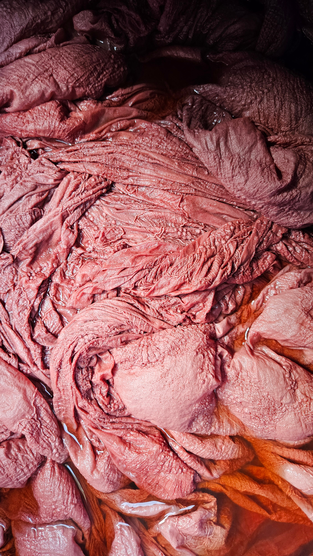 Natural fabric dyeing process with plant-based colors